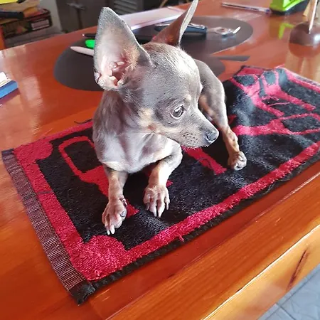 Hotel Stars (adults Only) Agios Georgios (Corfu)